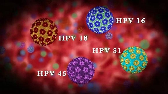 hpv疫苗詳解 - 預約香港體檢美容_9價hpv疫苗_九價子宮頸癌疫苗「iwsd